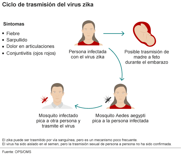 zika virus