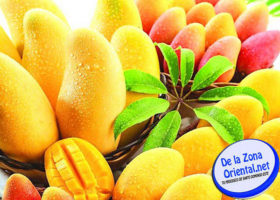 feria-del-mango