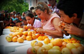 Feria del Mango concurso